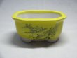 画像1: 3.5号/モッコ型/黄山水/文山 (1)