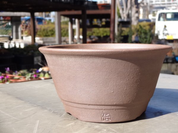 画像1: 伝市鉢 丸一型4.5号 (1)